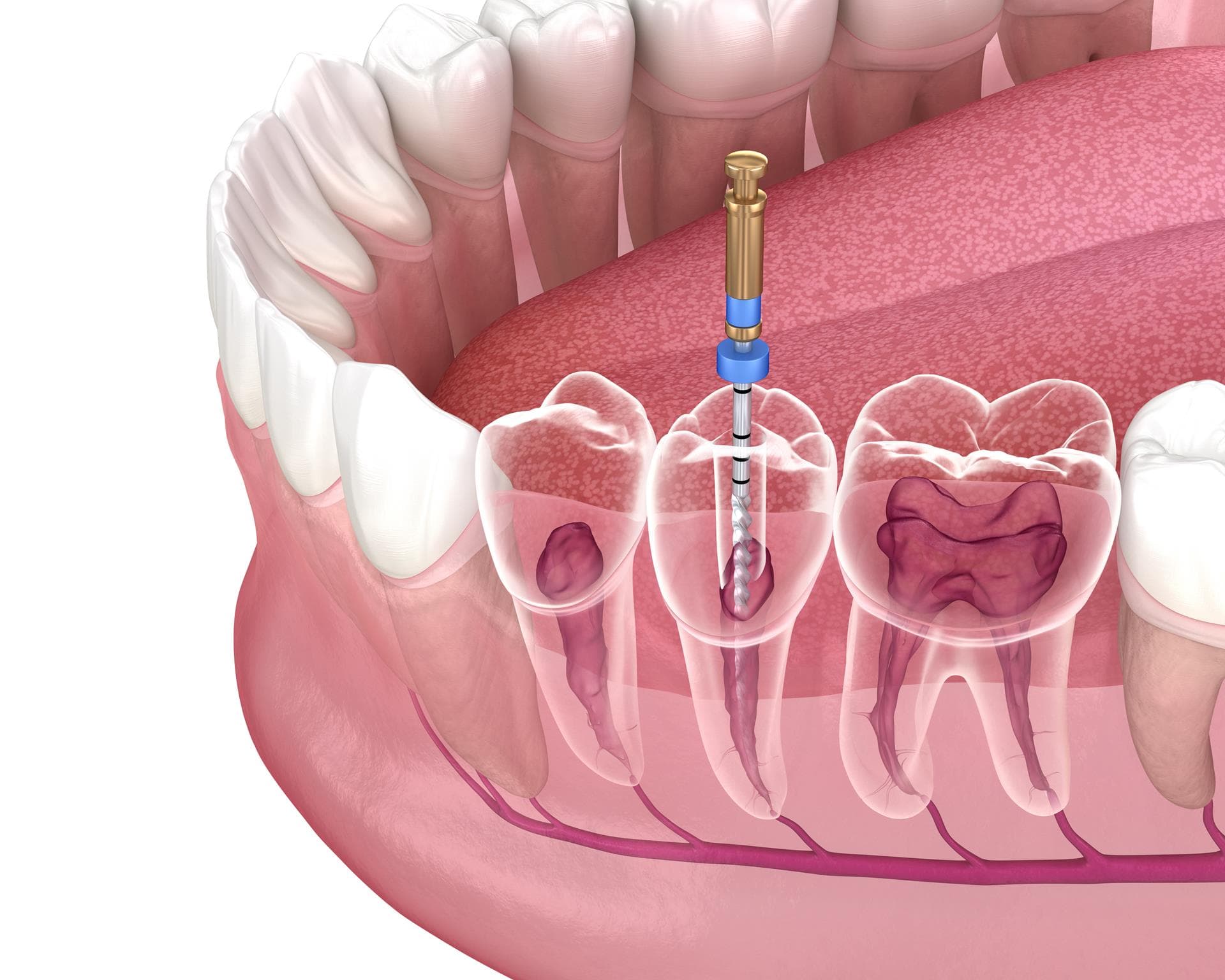 Oral Health